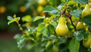 Peer en appel: de 3 snoeifouden die hobbytuiniers elk voorjaar opnieuw maken