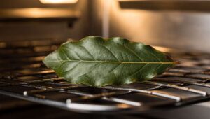 Laurier in de oven: het vergeten schoonmaakmiddel dat weer opduikt op sociale media